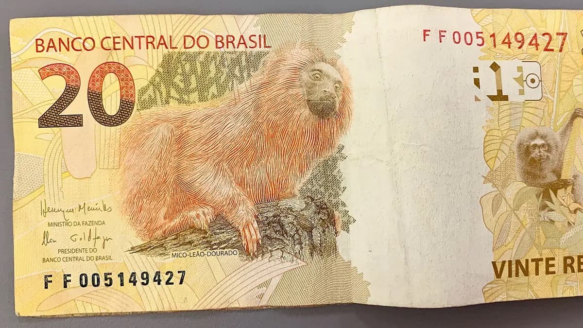 Billete de 20 reales brasileños con un tití león dorado