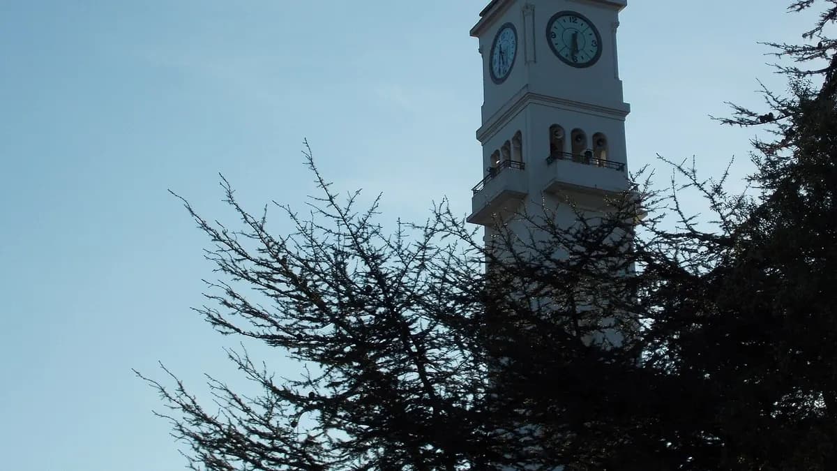 Torre del campanil universitario rodeada de árboles en Concepción