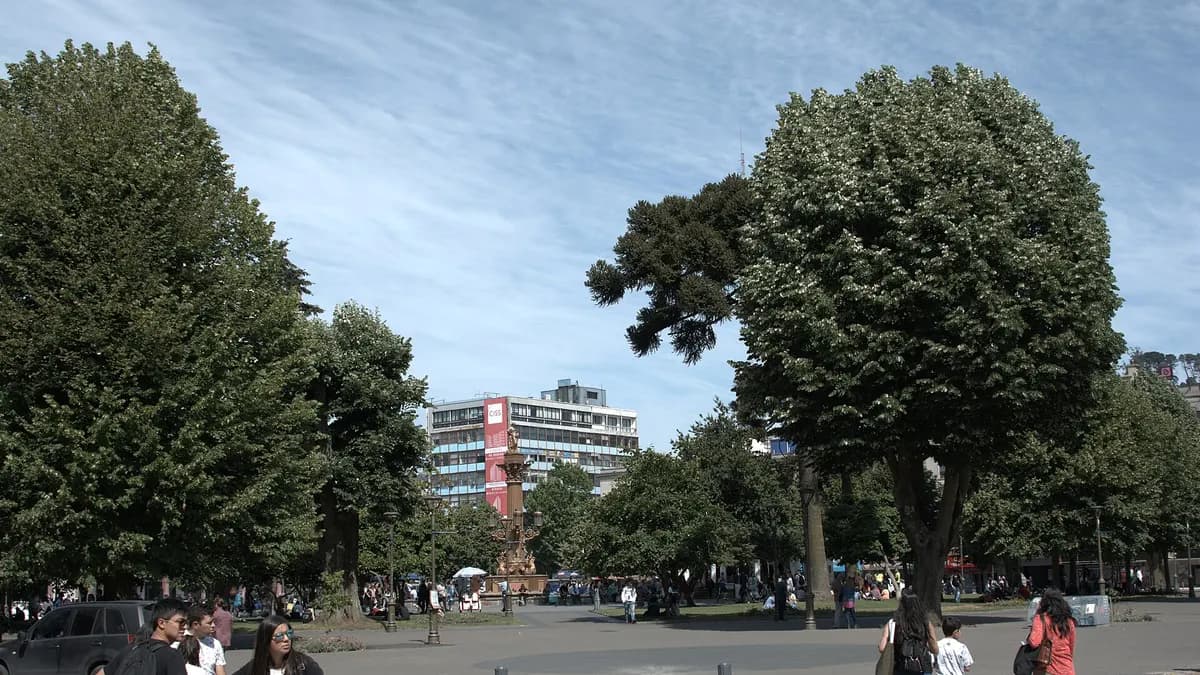 Qué hacer en Concepción: panoramas en la ciudad y escapadas por el Biobío