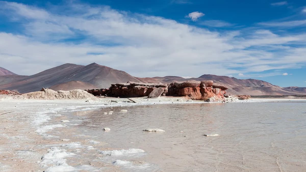 Piedras Rojas y lagunas Miscanti y Miñiques: guía para visitar el altiplano de Socaire