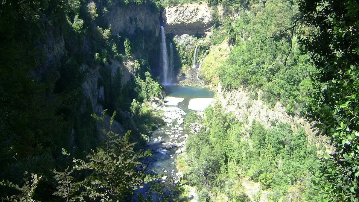 Radal Siete Tazas: guía de visita al parque nacional, con senderos, horarios y accesos